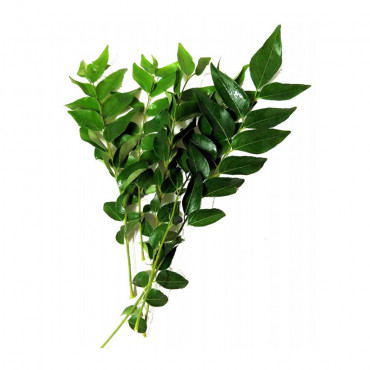 Curry Leaf 100g